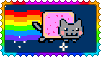 nyan cat